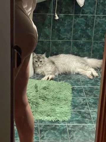 Яна